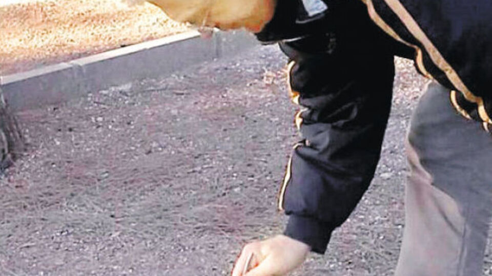 "Dürüstlükten başına gelmeyen kalmadı"