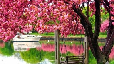 En güzel ilkbahar fotoğrafları