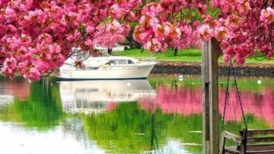 En güzel ilkbahar fotoğrafları