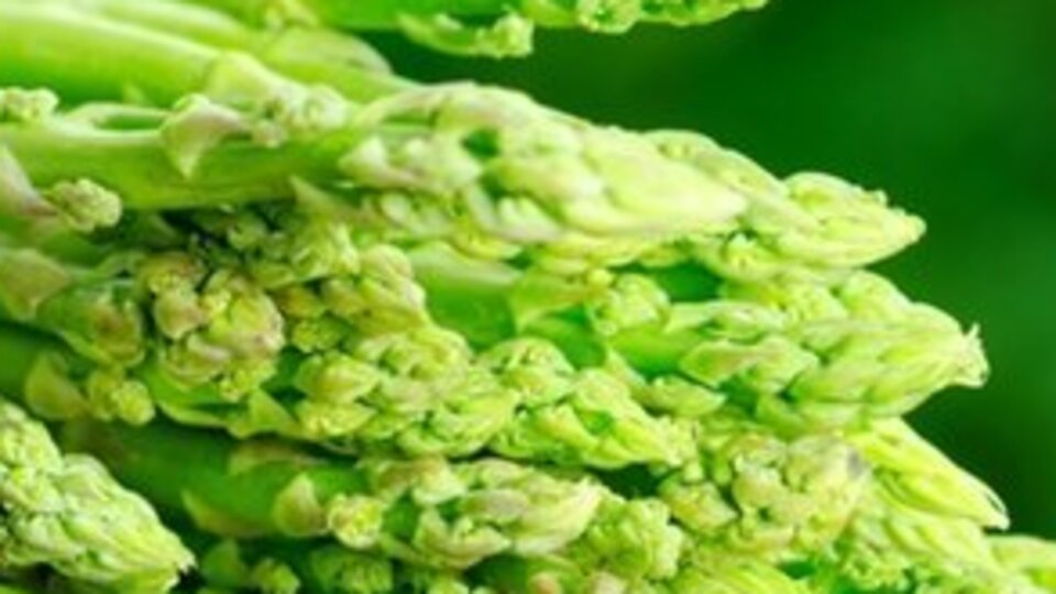 Kuşkonmazın faydaları