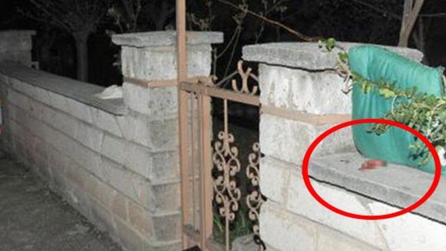 Bahçe duvarına bırakıldı!