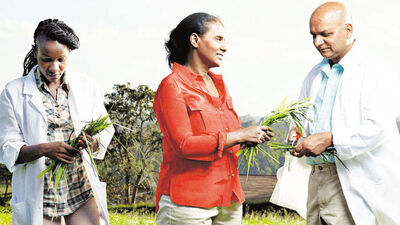 Çare bilim kadınları