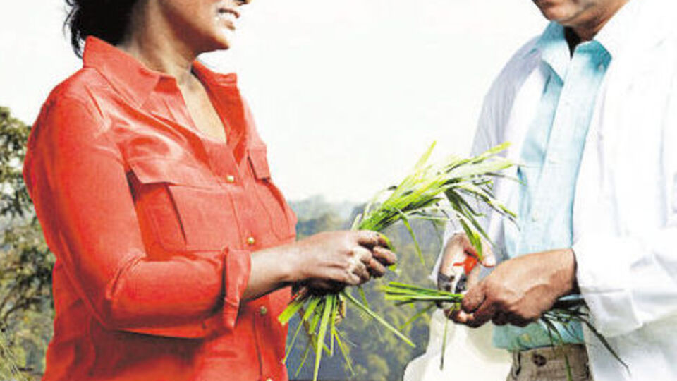 Çare bilim kadınları