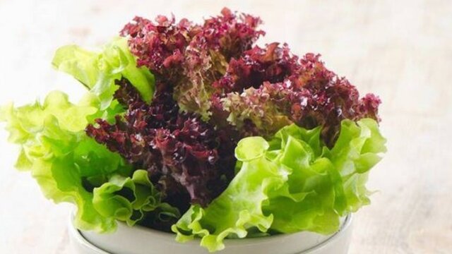 Sinirleri ayakta olanlara önerimiz: Marul