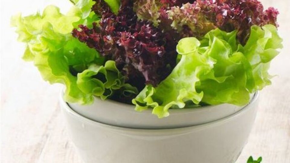 Sinirleri ayakta olanlara önerimiz: Marul