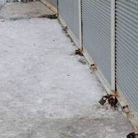 Bir dev daha Türkiye'den çıkıyor!