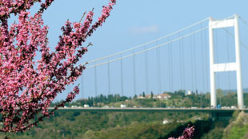 Boğaz'da erguvan mevsimi!