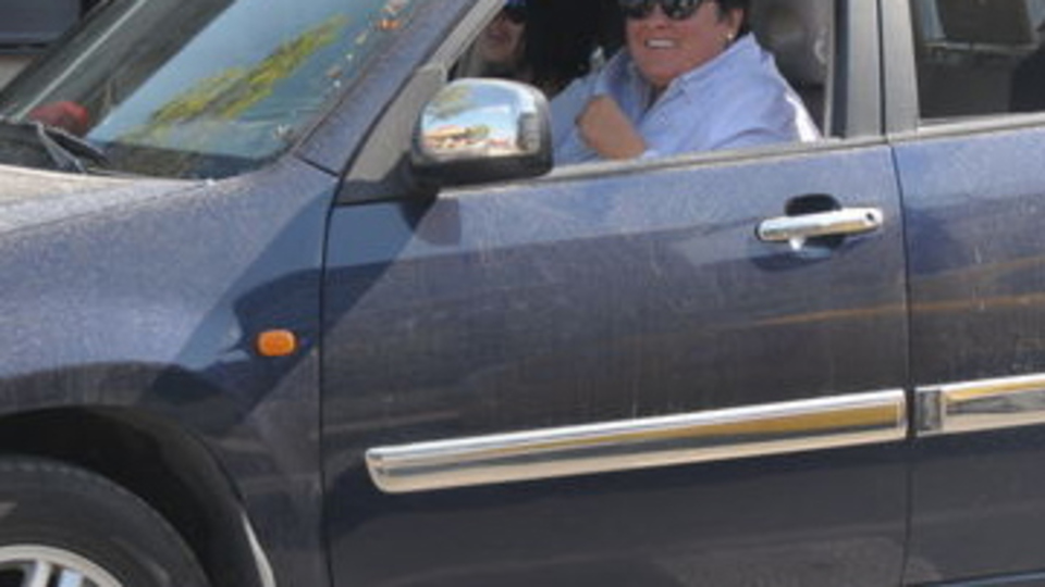 Köpeğe direksiyon dersi