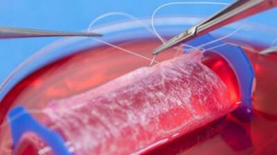 Laboratuvarda vajina üretildi