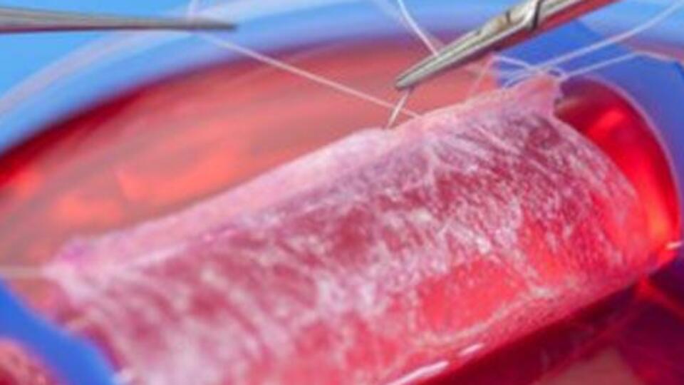 Laboratuvarda vajina üretildi