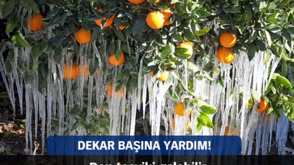 Dekar başına yardım!