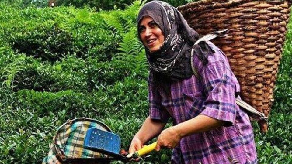 Yılın ilk çayı Feshane'de toplanacak