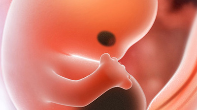 Gebelikte 9. Hafta (Hamilelik) Gebeliğin 9. haftasında neler oluyor?