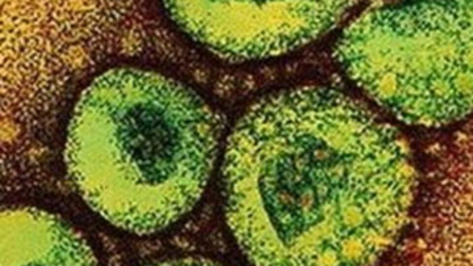 Suudi Arabistan'da corona virüsü