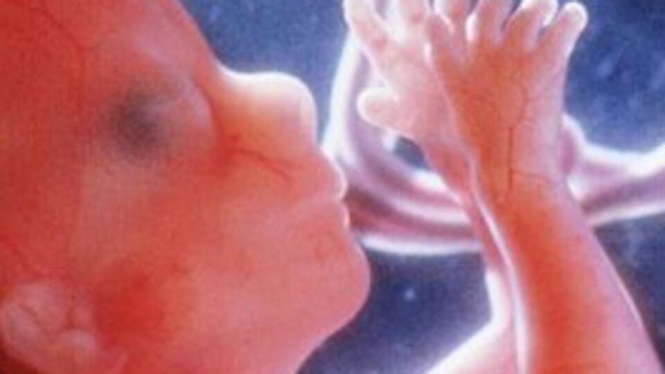 Gebelikte 10. Hafta (Hamilelik) Gebeliğin 10. haftasında neler oluyor?