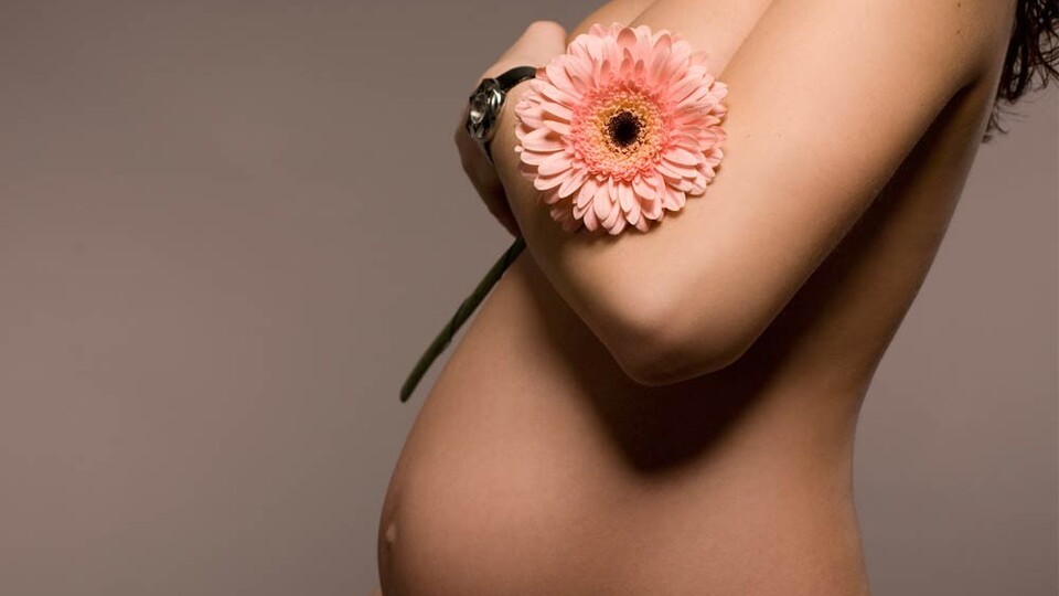 Hamilelikte 25. hafta