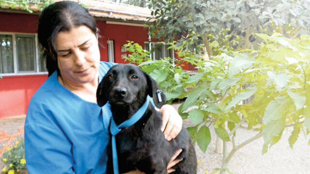 Sevgilisi acı çeksin diye...