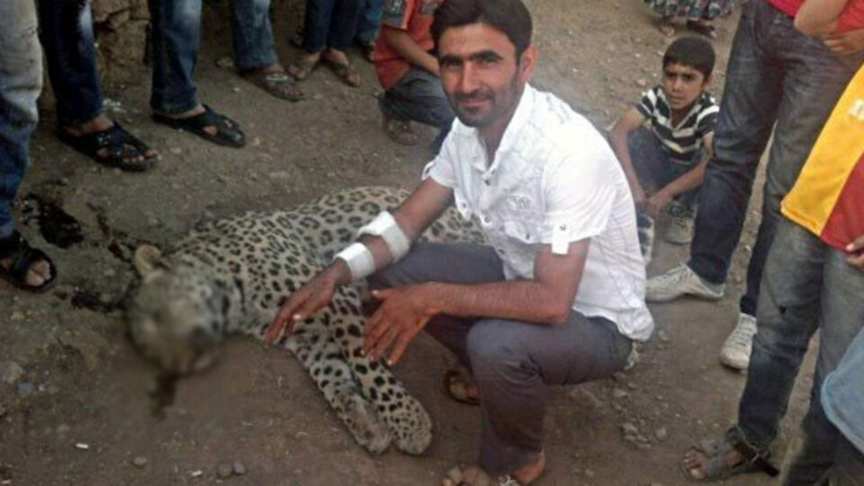 Leoparı öldüren çobanlara kötü haber!