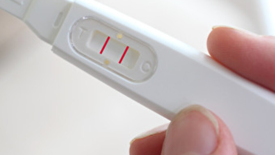 Gebelikte 5. Hafta (Hamilelik) Gebeliğin 5. haftasında neler oluyor?