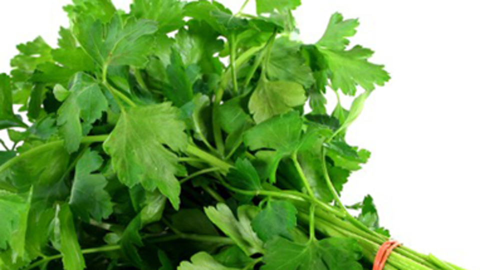 Hipotroide yeşil düşman