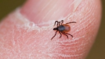 KKKA tehdidi sürüyor