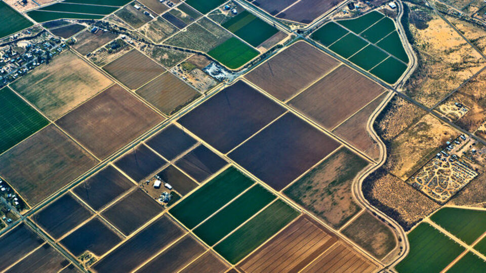 Şehirde yaşayan mirasçılar dikkat!