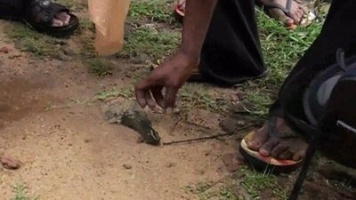 Gökten balık yağdı!