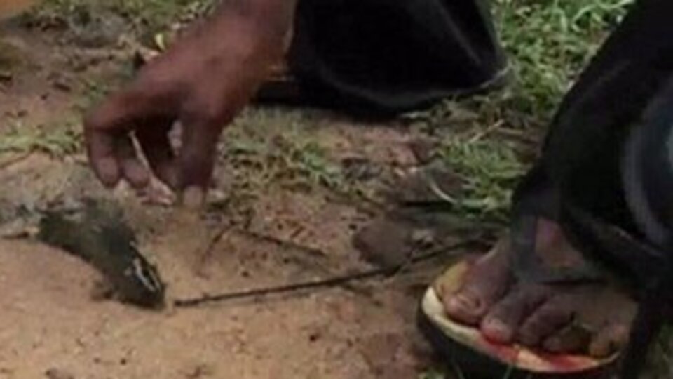 Gökten balık yağdı!