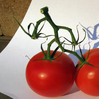 Baba olmak için domates yiyin!