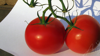 Baba olmak için domates yiyin!