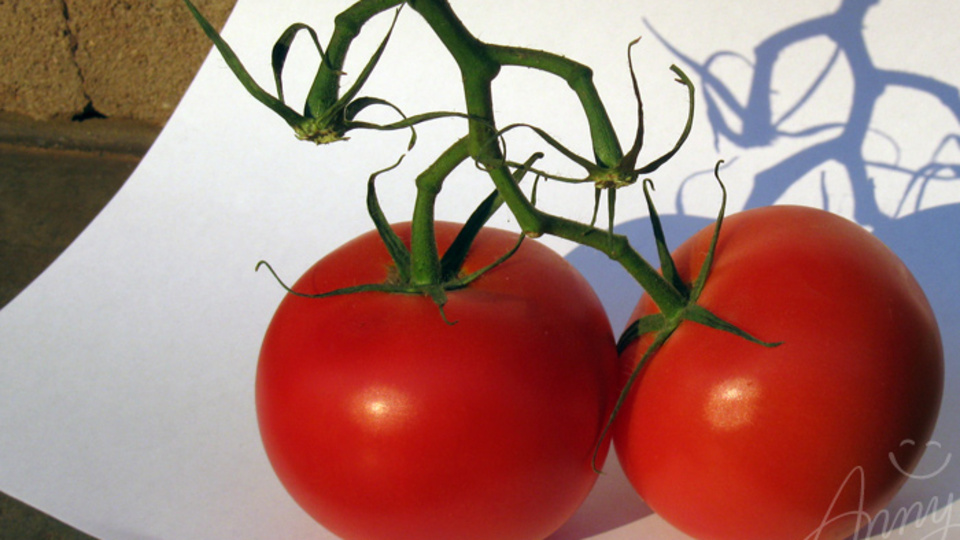 Baba olmak için domates yiyin!