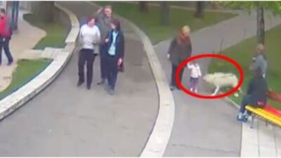 Kurt saldırısı kamerada!