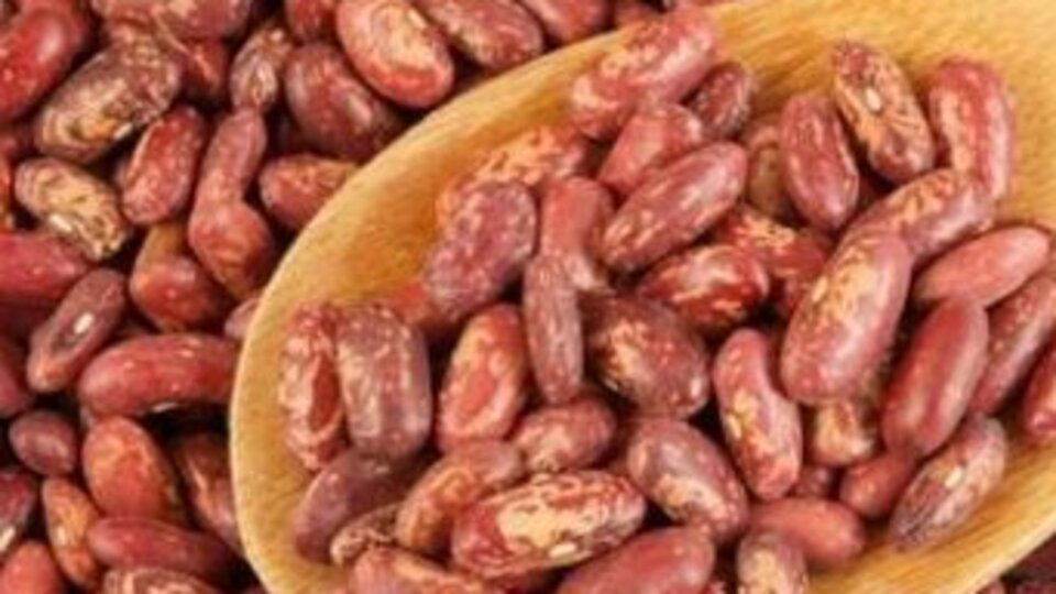 Cilt lekeleri ile savaşan barbunyanın faydaları