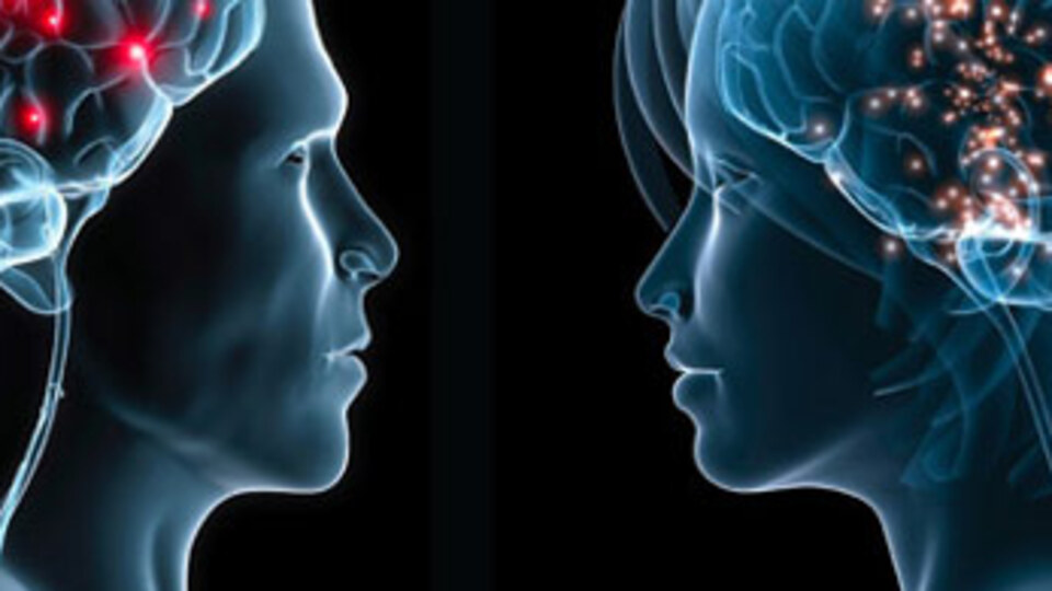 Beynin de cinsiyeti var