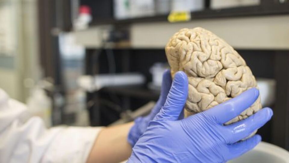 Acıları silmek mümkün mü?