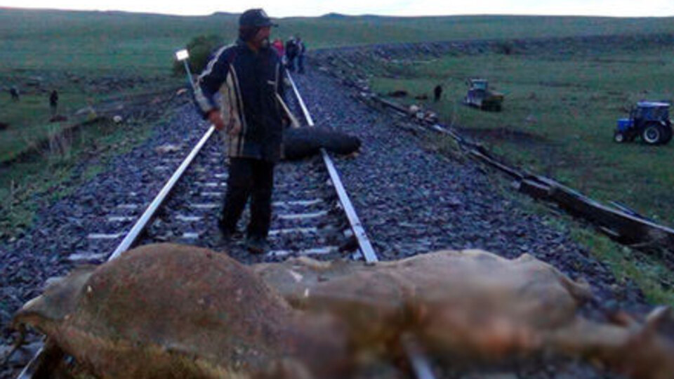 Kars'ta tren sürüye çarptı!