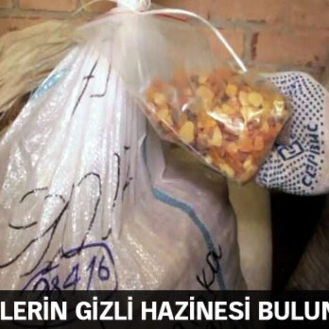 Nazilerin gizli hazinesi bulundu