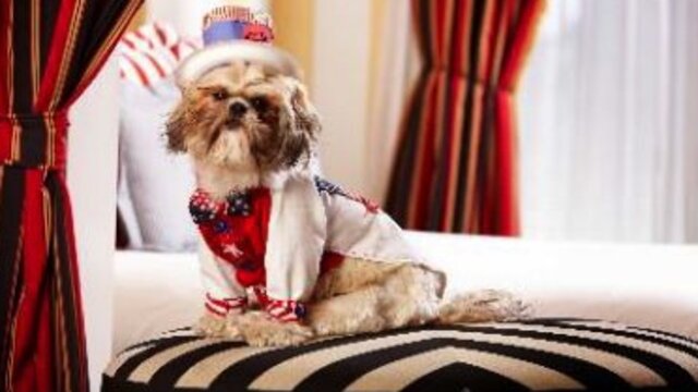 Böyle lüks görülmedi!