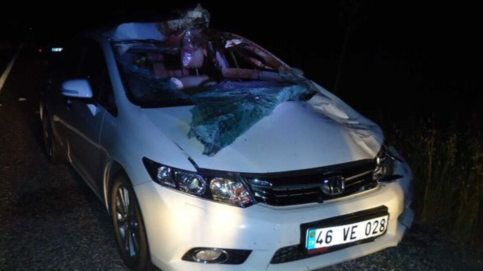 Adıyaman'da otomobil ata çarptı!