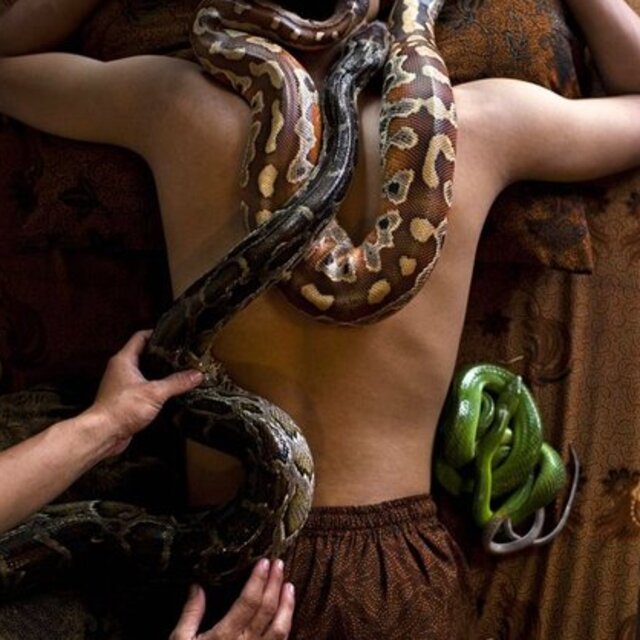 Dev pitonlarla spa