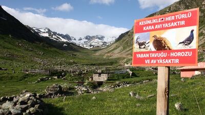 Hayvan sevgileri soyadlarına yansıdı