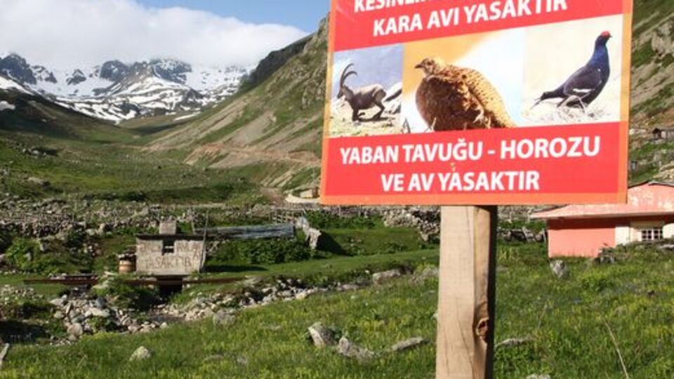 Hayvan sevgileri soyadlarına yansıdı