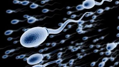 Fazla spor sperm düşmanı!