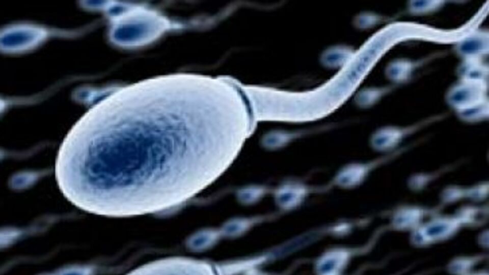 Fazla spor sperm düşmanı!