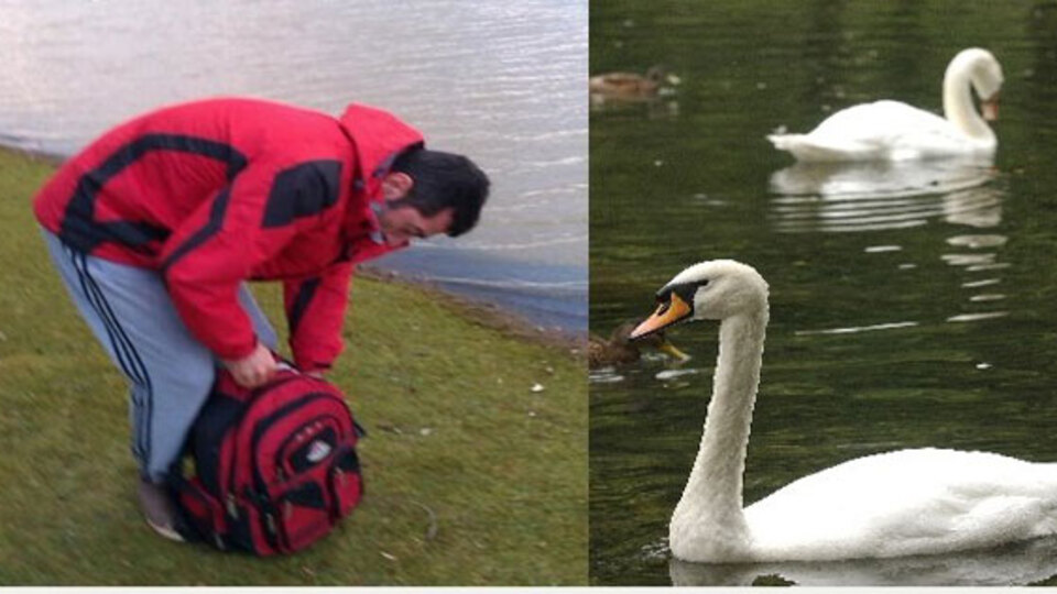 "Kraliçenin kuğusunu keyfine yedim"