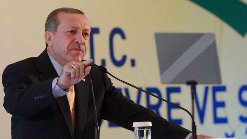 Başbakan Erdoğan'a sürpriz danışman!