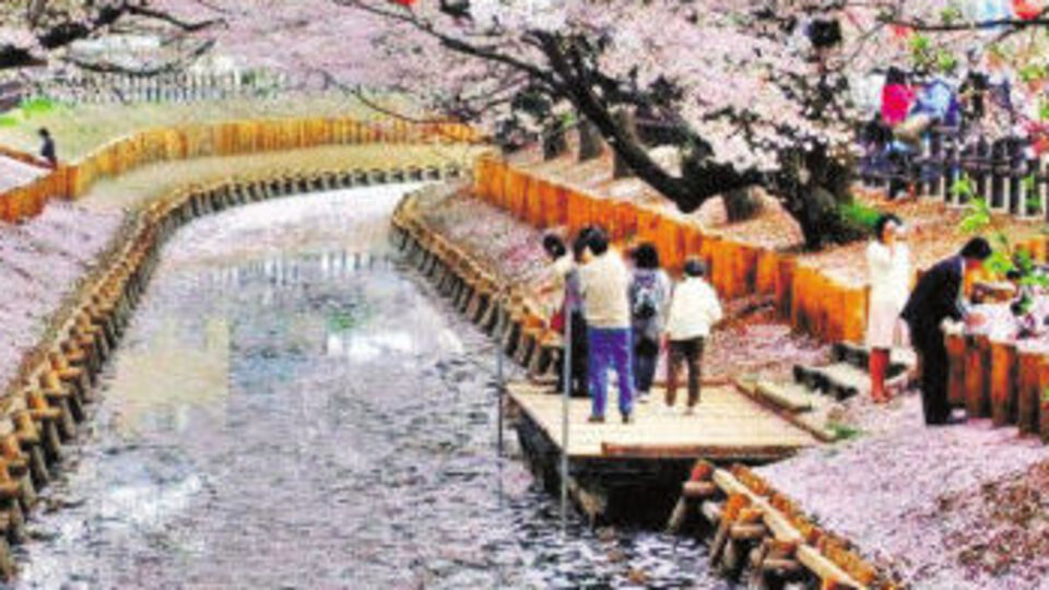 Tanrıların patikaları