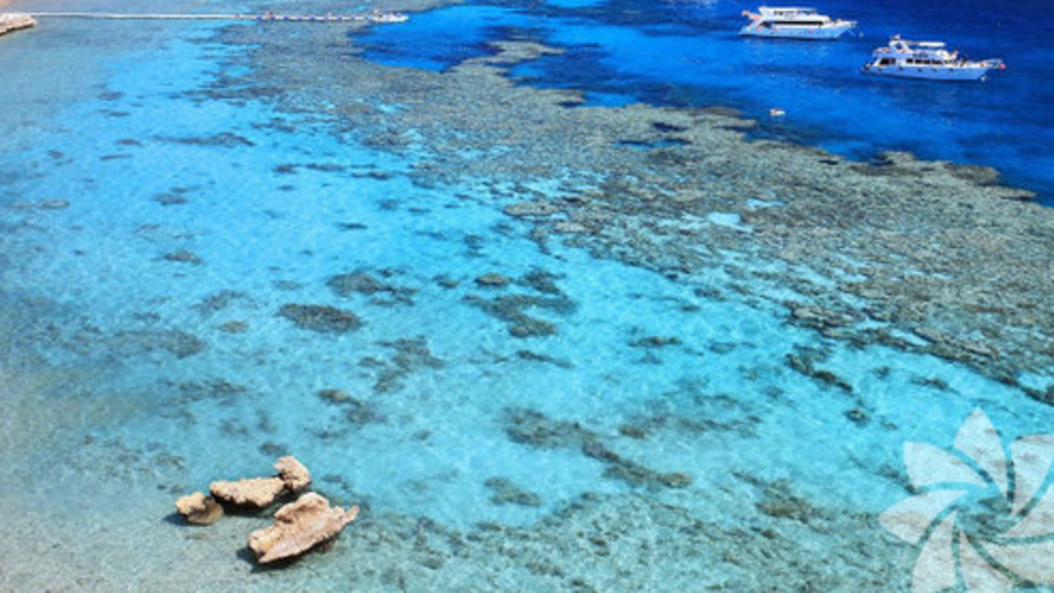 Tatil cenneti Sharm el Sheikh