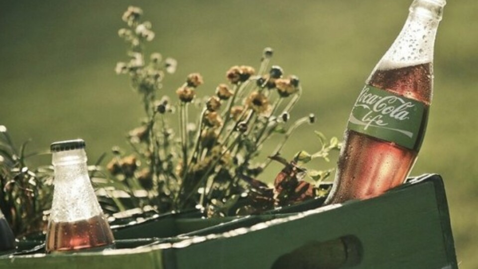 Yeşil Cola bilmecesi