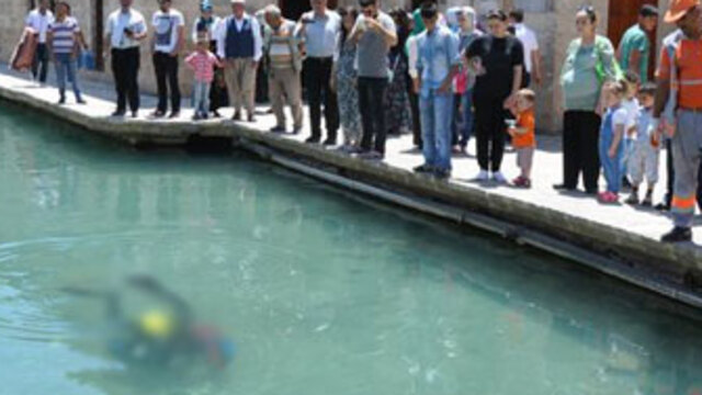 Şanlıurfalılar şaştı kaldı